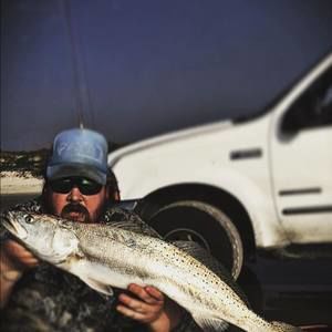 Meet your Posher, Scott